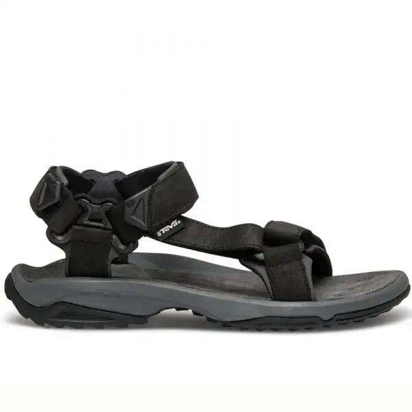 TEVA picture