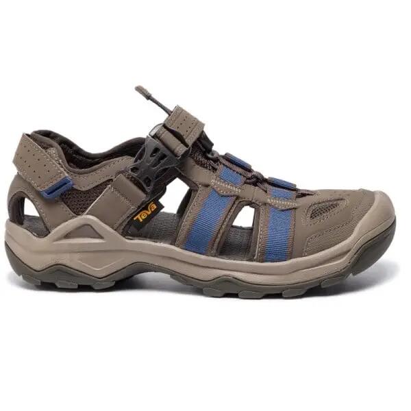 TEVA picture