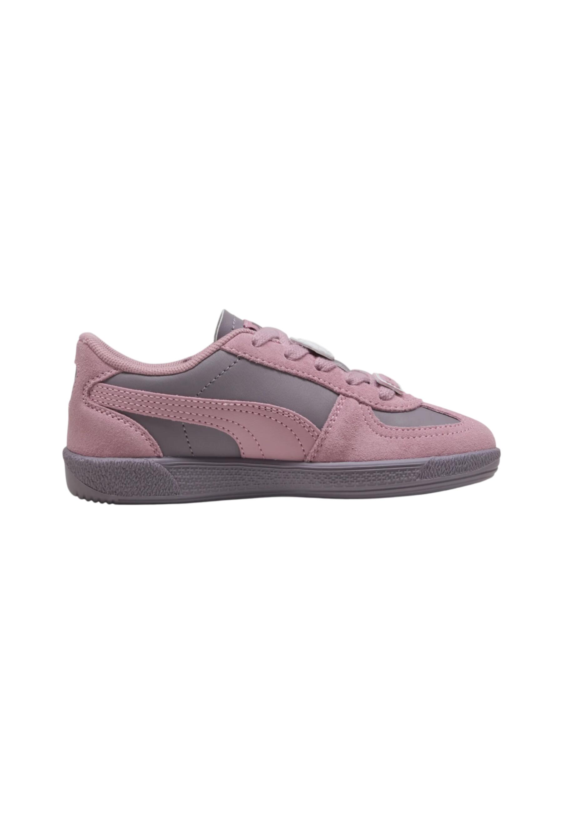 PUMA picture