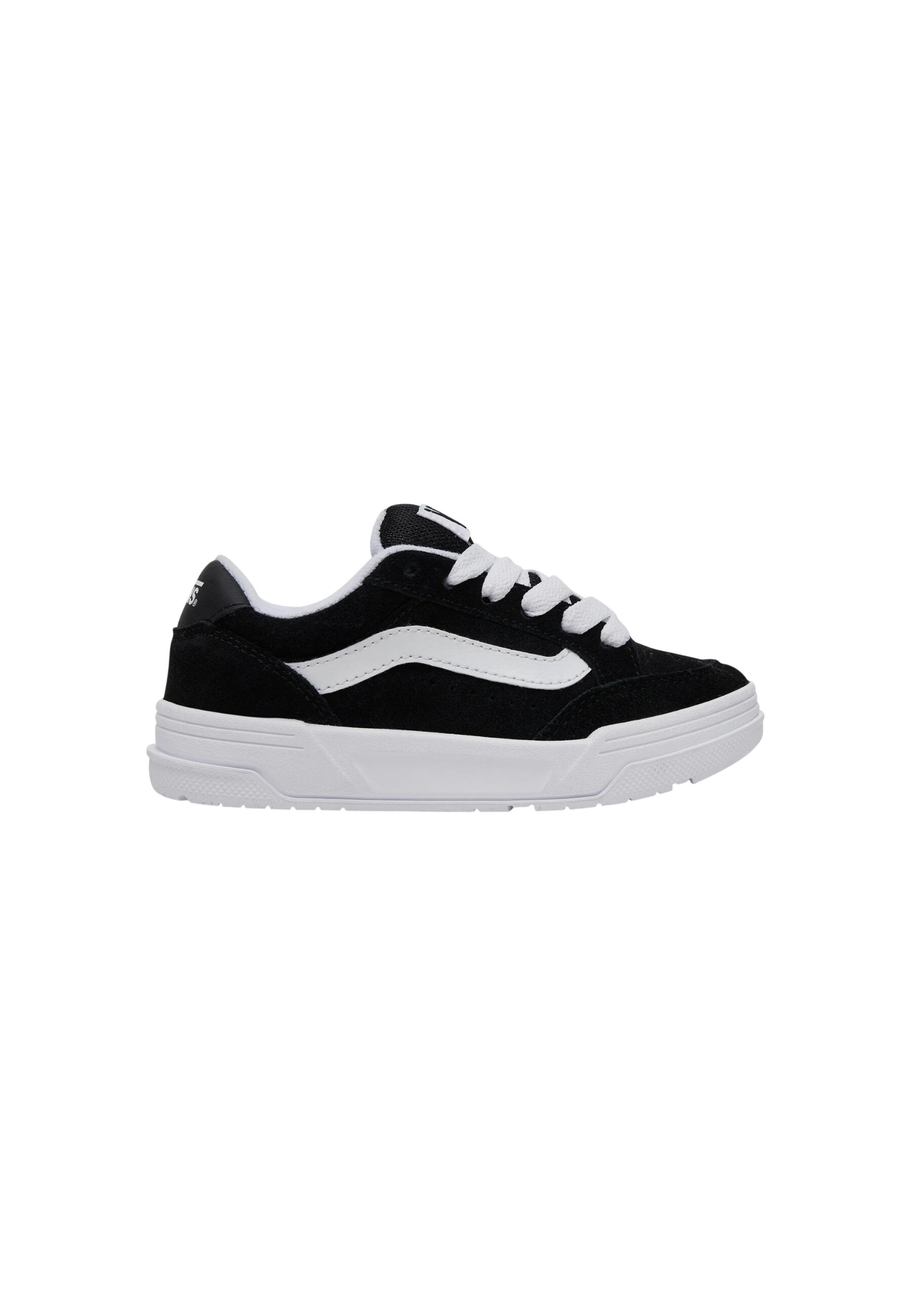 VANS picture