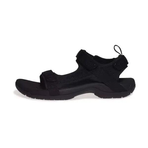 TEVA picture