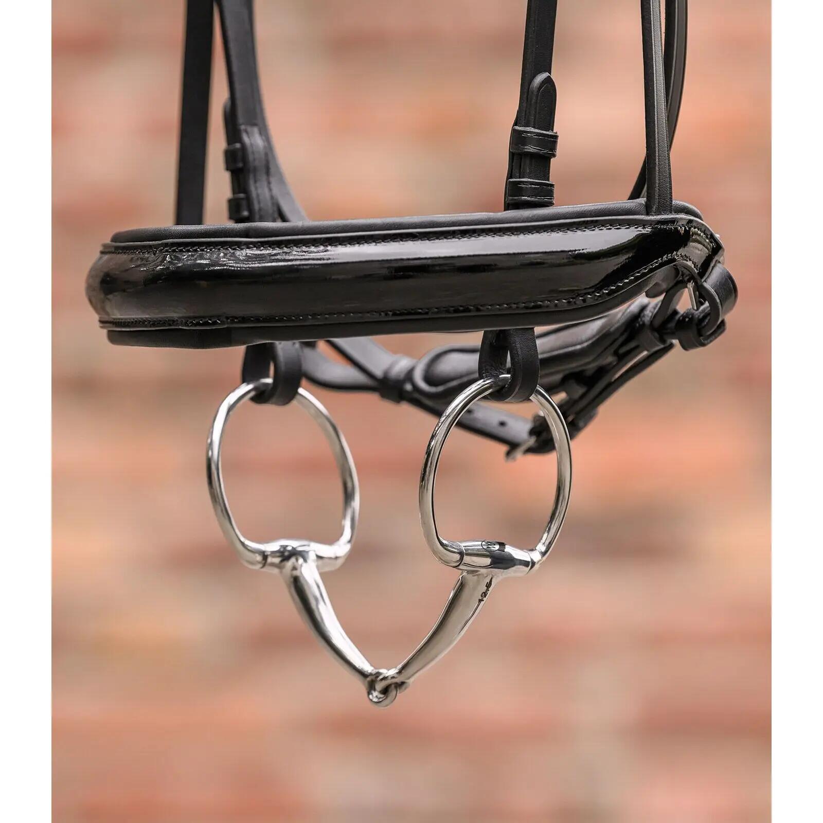 Olijf noot voor paard eenvoudige breuk Waldhausen 3/3