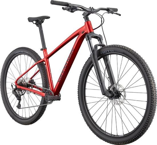 MOUNTAINBIKE CANNONDALE TRAIL 2