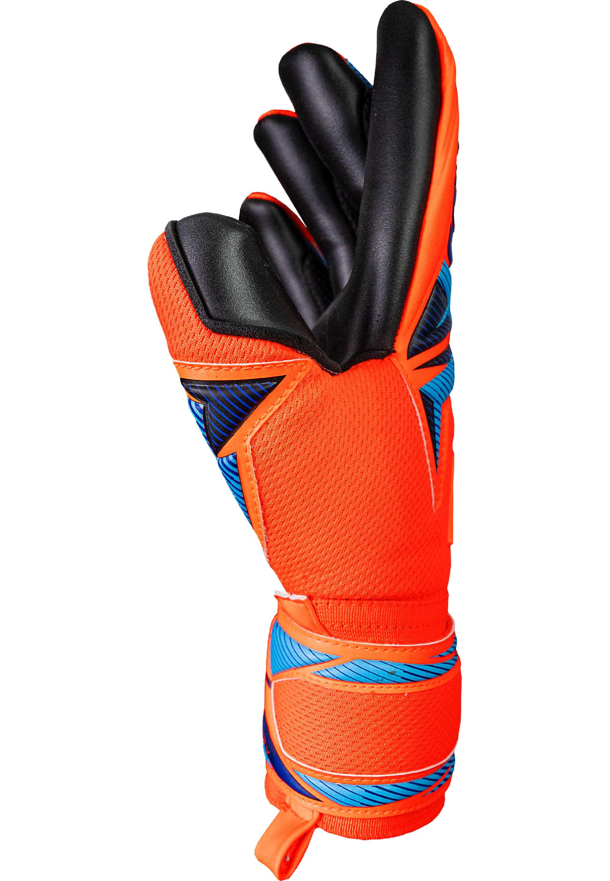Torwarthandschuhe Attrakt Infinity Evolution NC 3/5