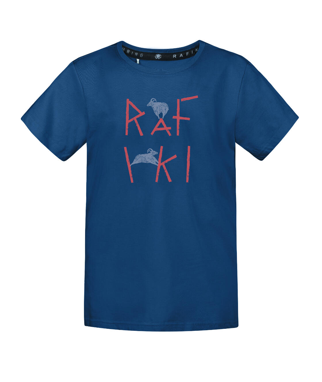 RAFIKI picture