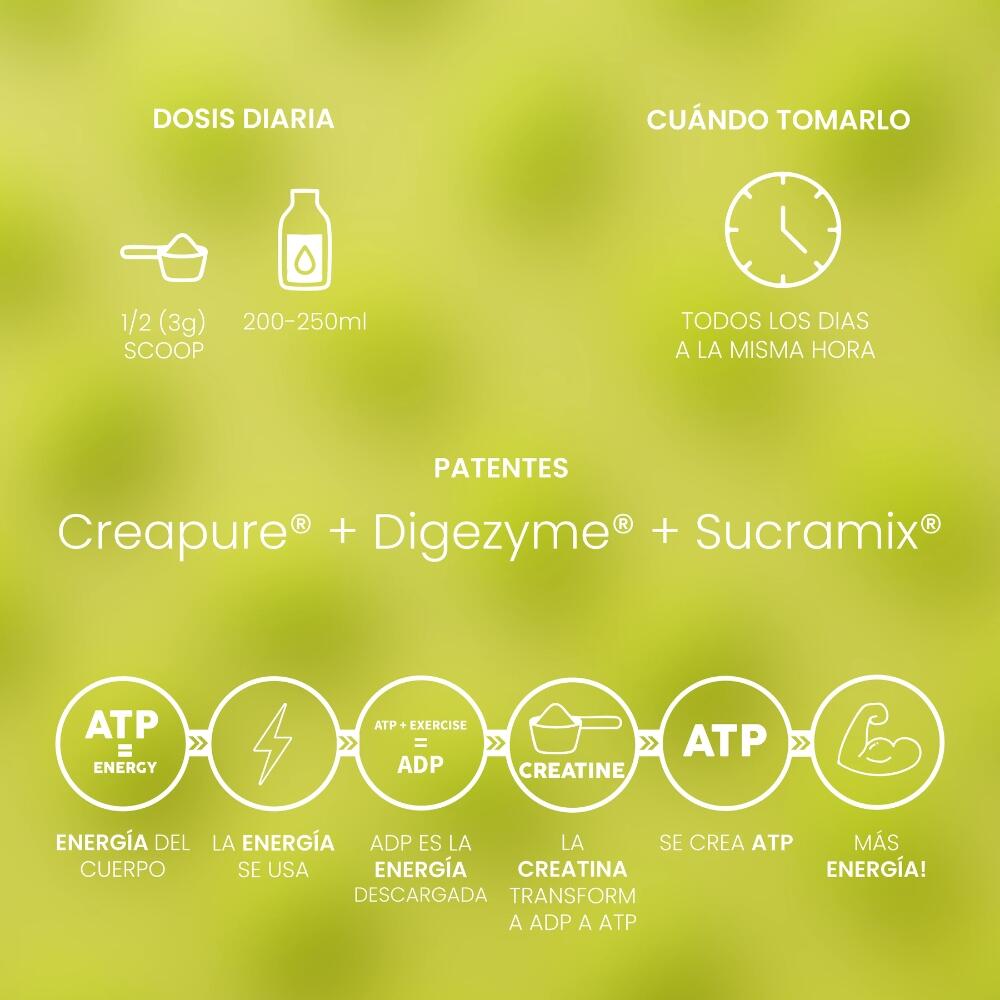 Creatina Creapure Melon Gum 300g Protella 4/5