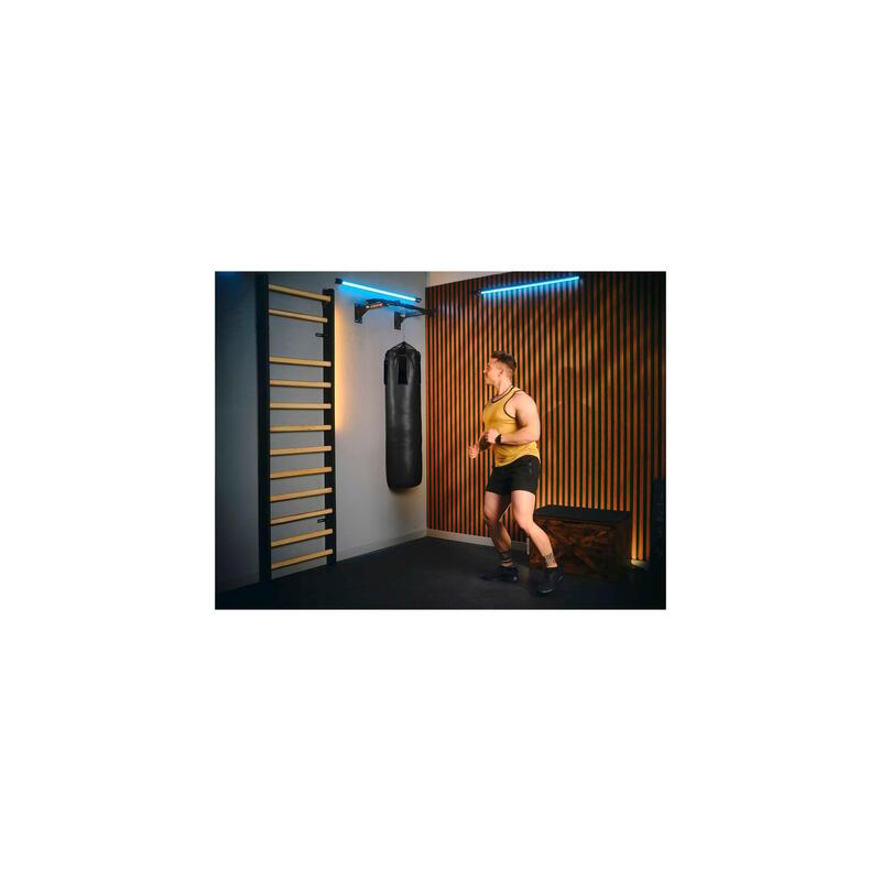 Bară de tracțiuni pe perete Trex Sport TX-030 cu suport sac 250kg