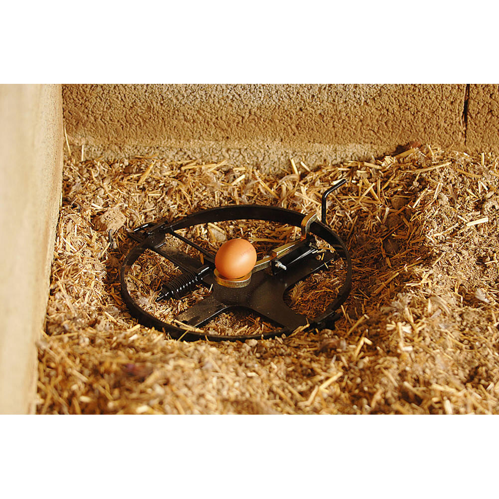 Piège à oeuf diamètre 25 cm 3/6