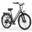 Bicicletă electrică de oraș HillMiles MileCity 250W 26 inch 36V 13AHBattery