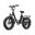 Bicicletă electrică URLIFE E20 Pro cu baterie de 48V 15.6AH, anvelope 20x4