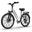 Bicicletă electrică de oraș E26, motor de 250 W, baterie de 36 V și 13 Ah, 26"