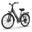 Bicicletă electrică de oraș E26, motor de 250W, baterie de 48V și 10,4Ah,26 inch