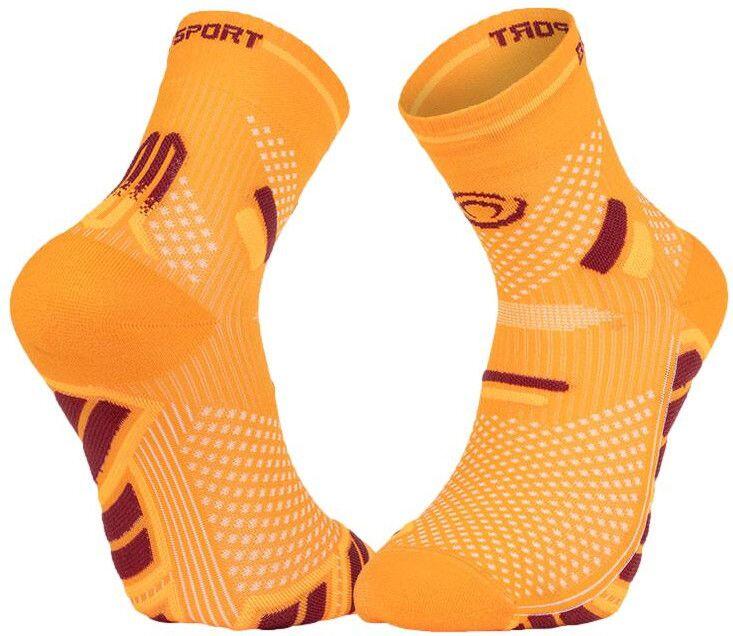 BV SPORT picture