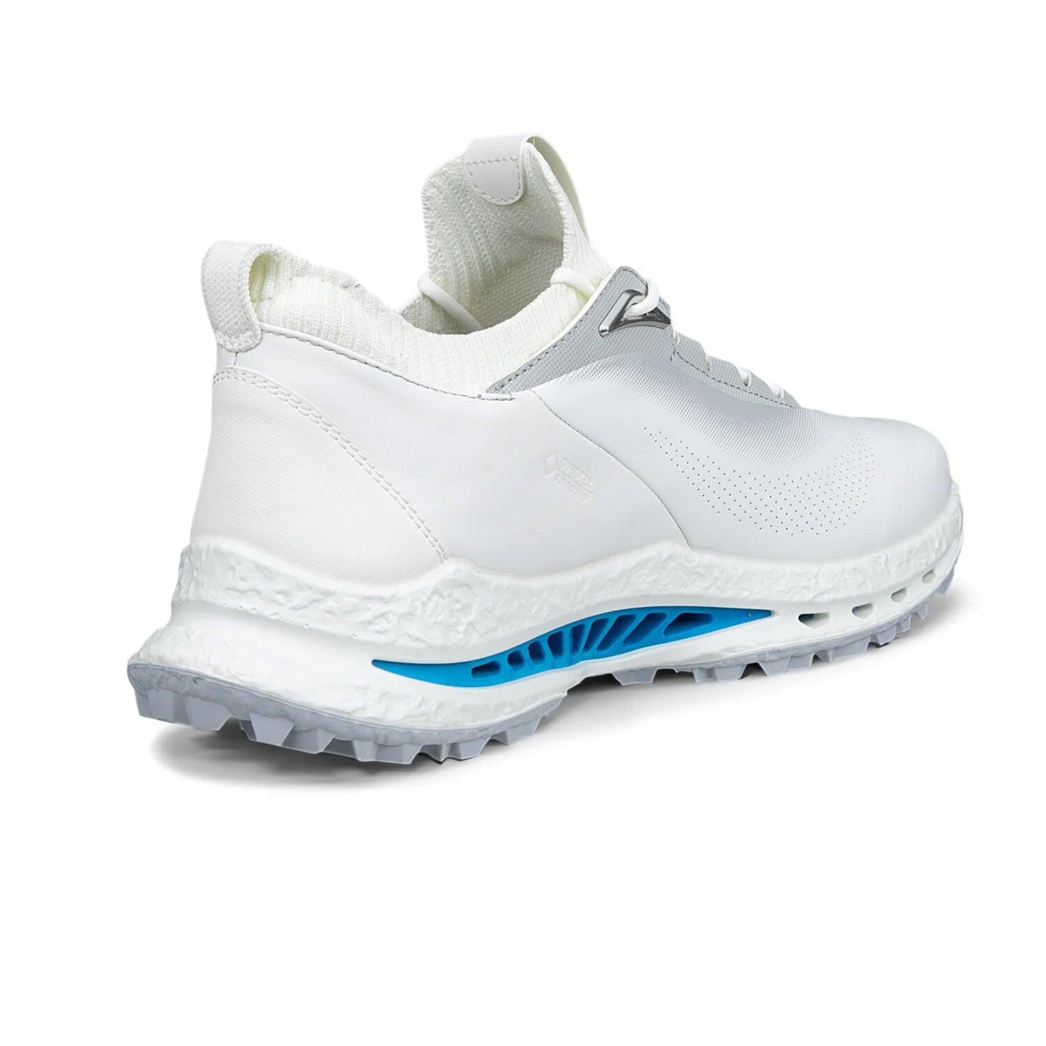 Chaussures de golf ECCO Biom C5 pour homme 4/5