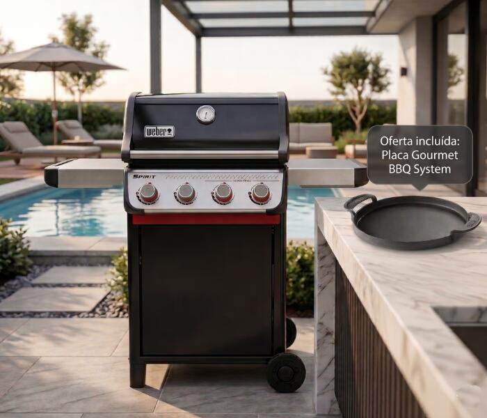 WEBER picture