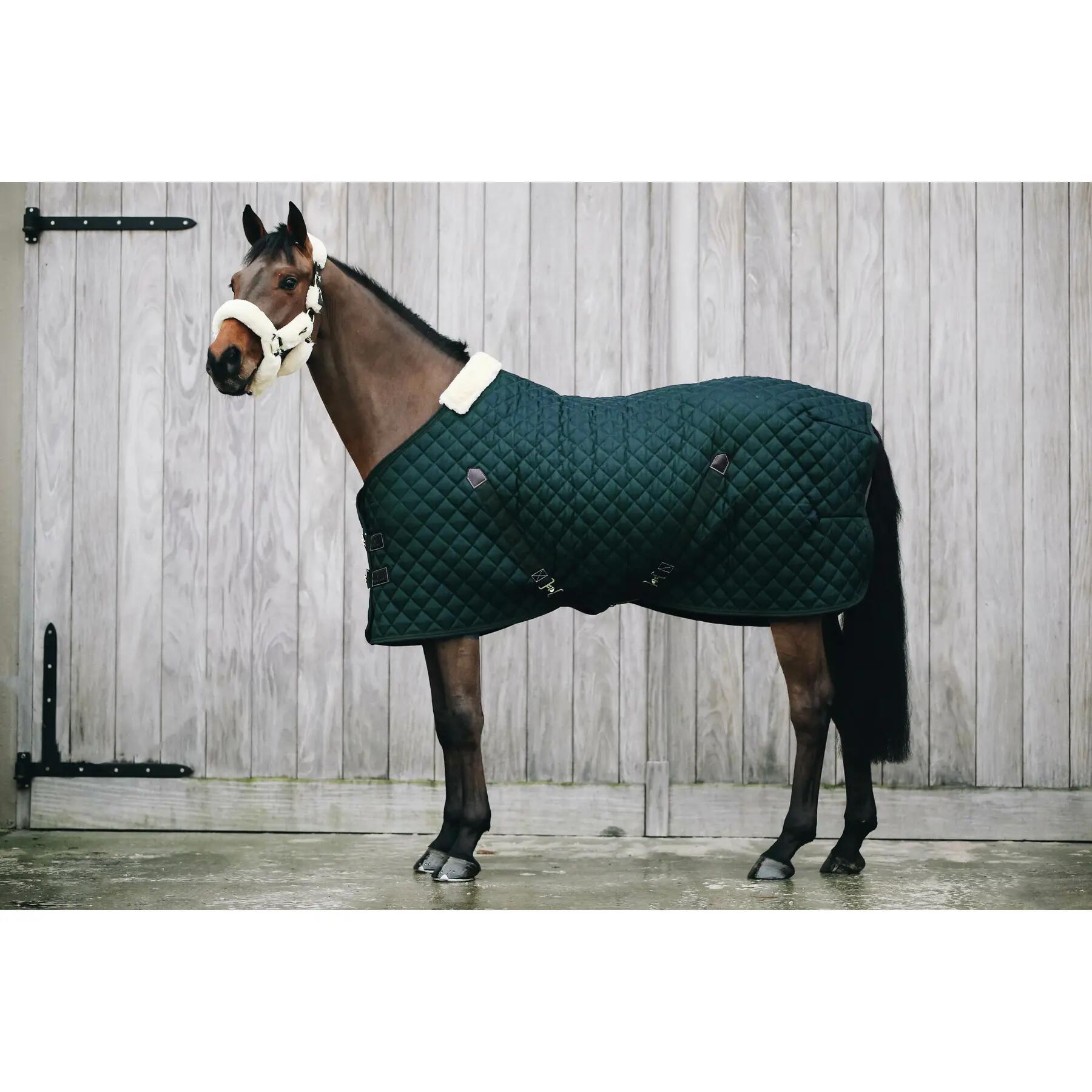 Couverture d’écurie - 600D - 145 cm / 6'6 - Laine vegan - Vert foncé 2/5