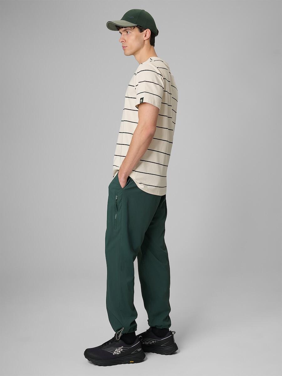 Spodnie casual joggery męskie 4F 4FRSS26TTROM1915 4/7