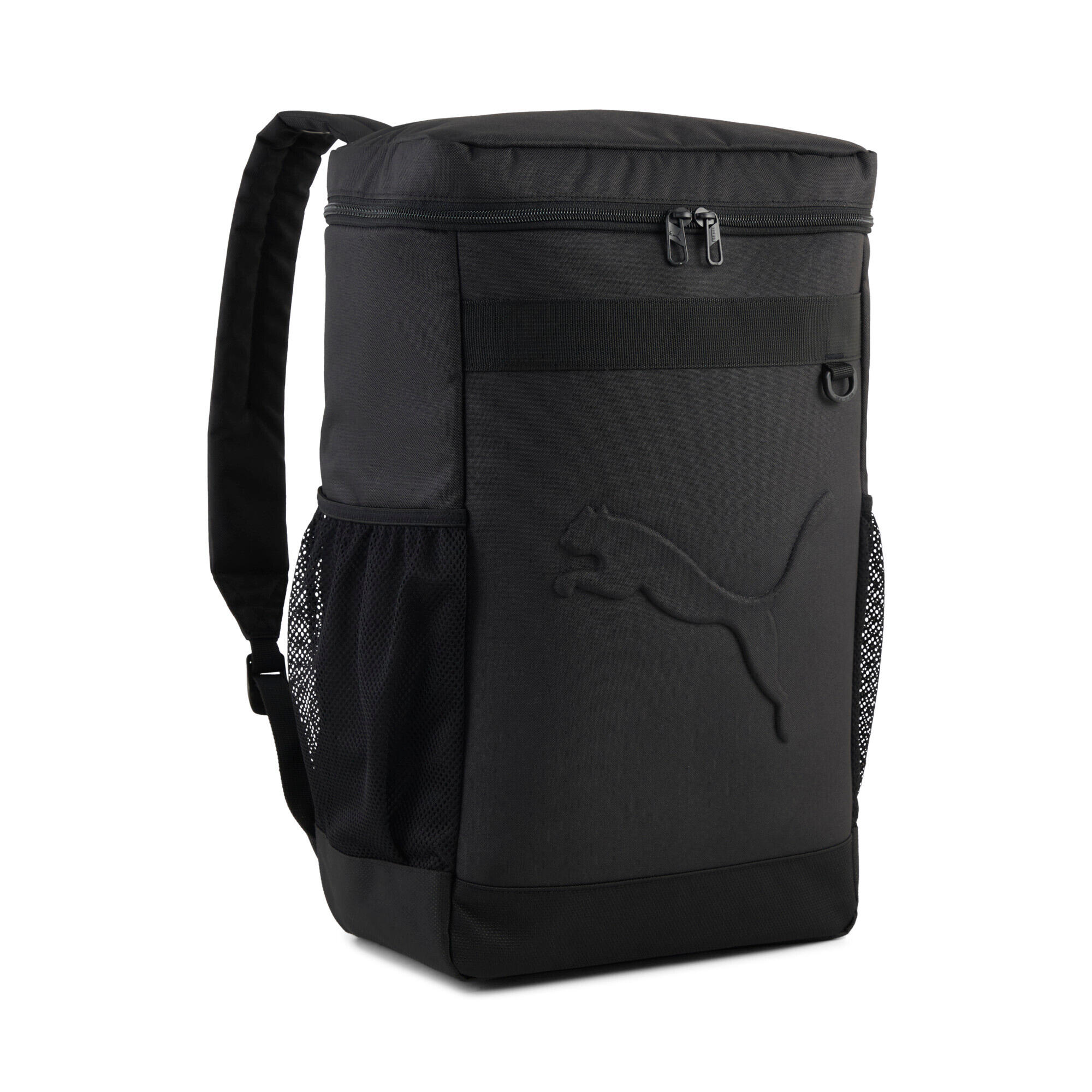 PUMA picture