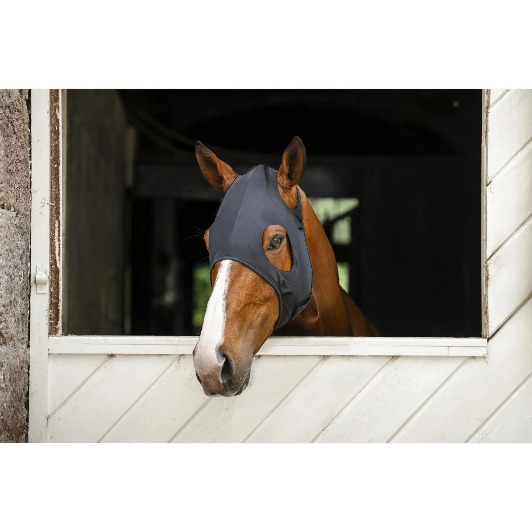 Fliegenmaske für Pferde Horseware Ionic 2/5