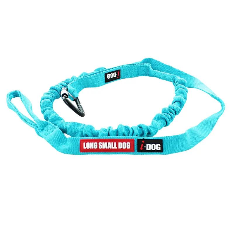 I-DOG picture