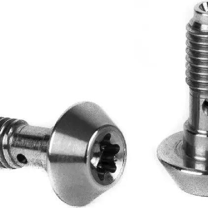 Banjo screws Elvedes Magura (x2)