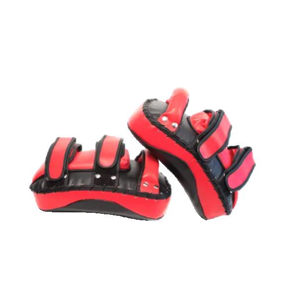 Paos de frappe Ali's Fightgear TPK Extreme la paire 2/5