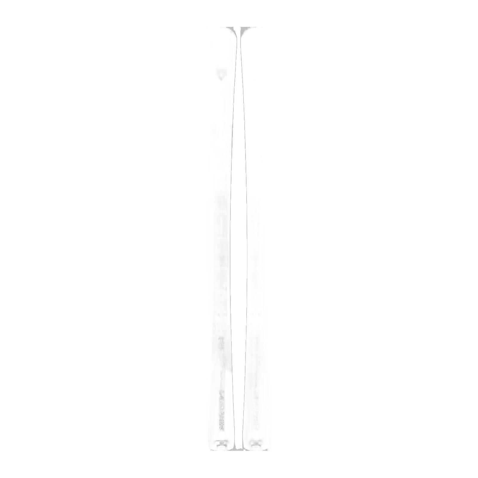 ROSSIGNOL picture