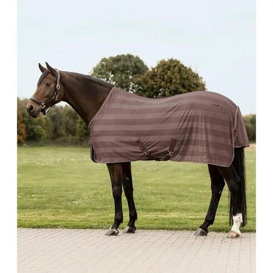 Couverture anti-mouches pour cheval Waldhausen Economic