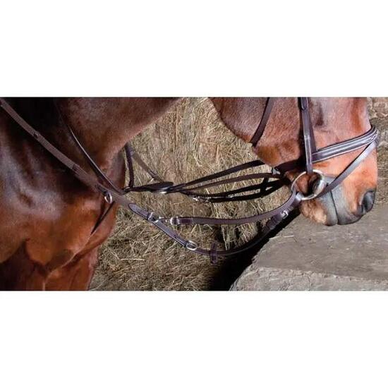 Enrênement élastique pour cheval Howlett T de T