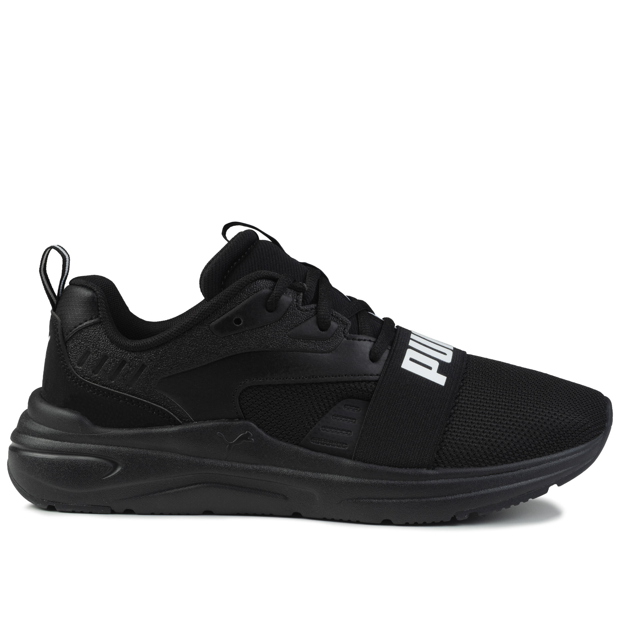 PUMA picture