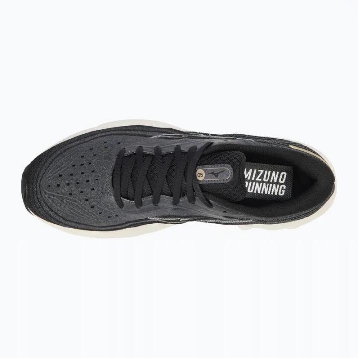 Męskie buty do biegania Mizuno Wave Skyrise 5
