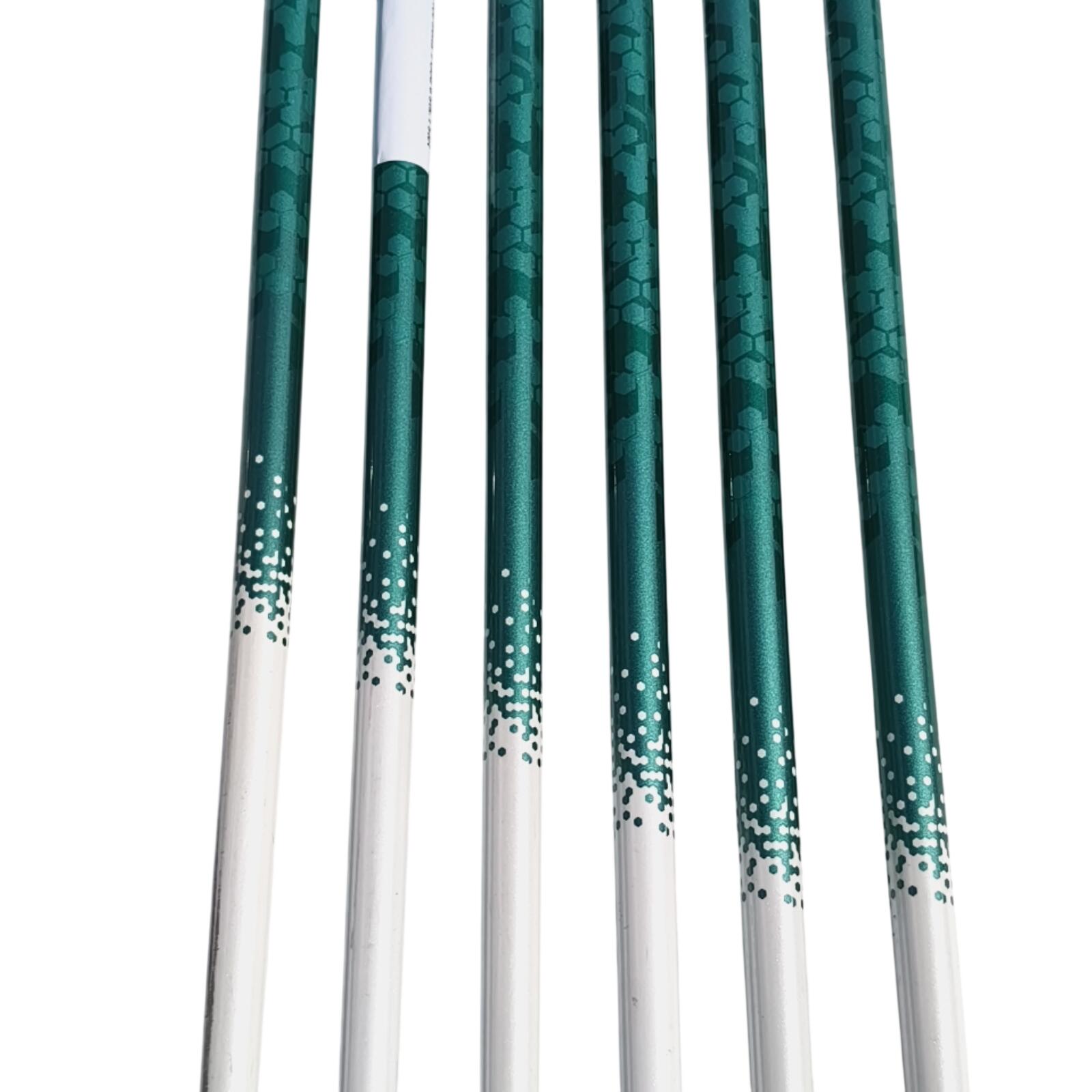 Wilson Staff D100 IJzerset / 6-PW+SW / Flex Ladies / Grafiet 4/7