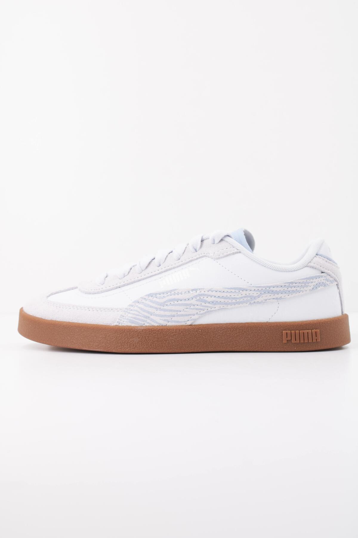 PUMA picture