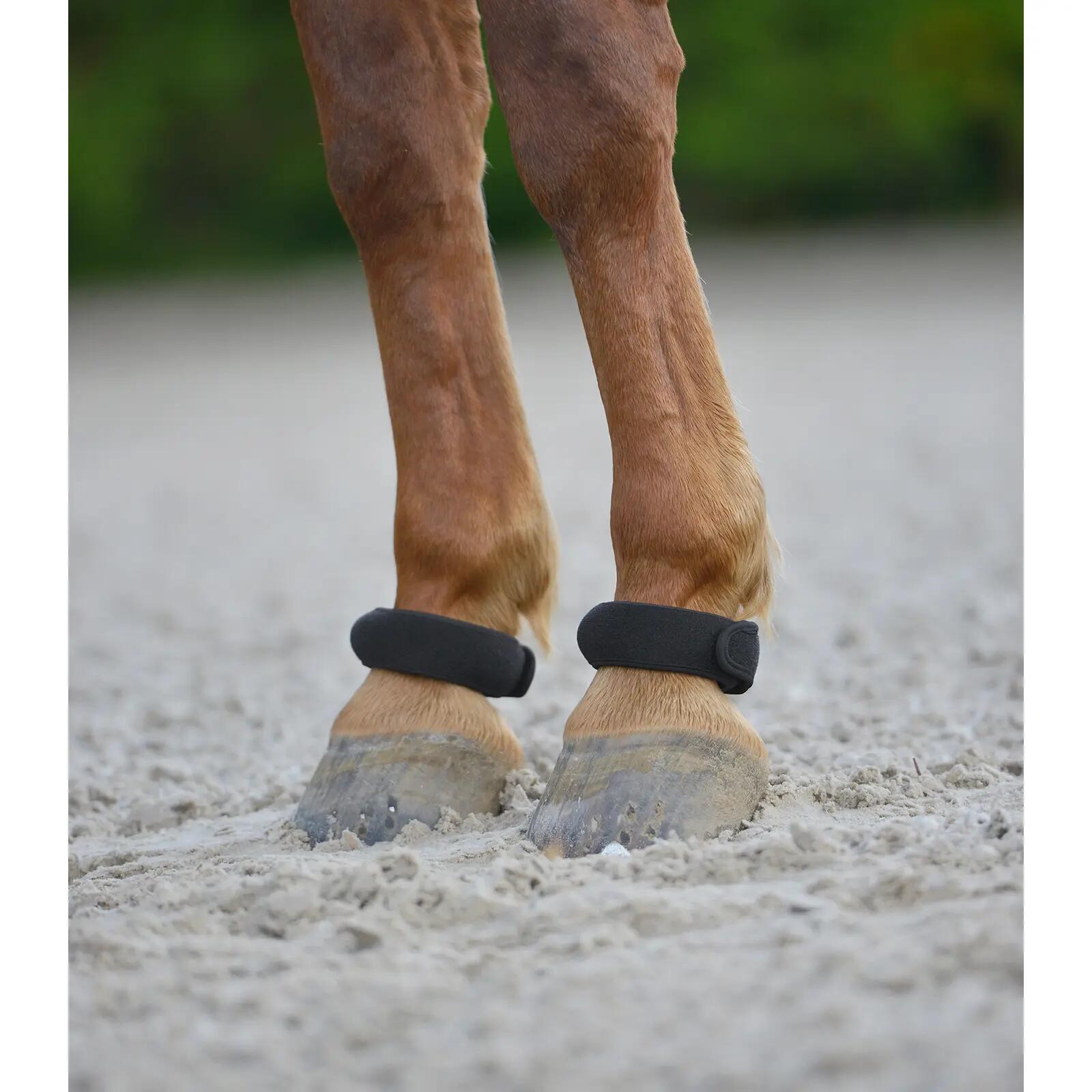 Beschermer voor paarden Waldhausen (x2) 2/2