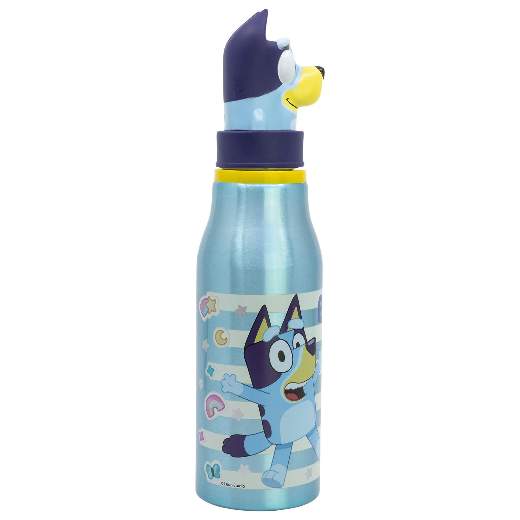 BLUEY 3D Aluminium Water Bottle 690 ml 3/4
