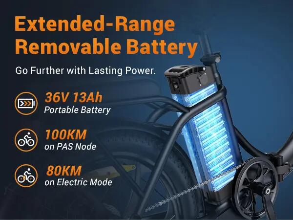 Bicicletta elettrica HillMiles MilePort 1 250W, ciclomotore ebike 20" 6/7