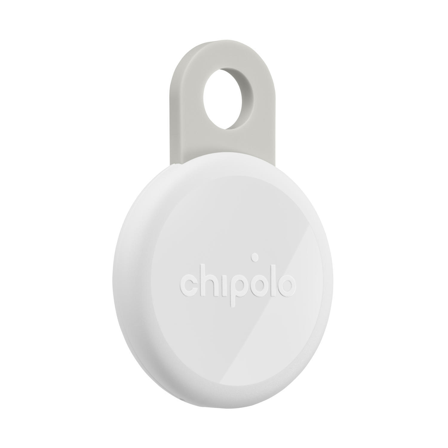 CHIPOLO picture