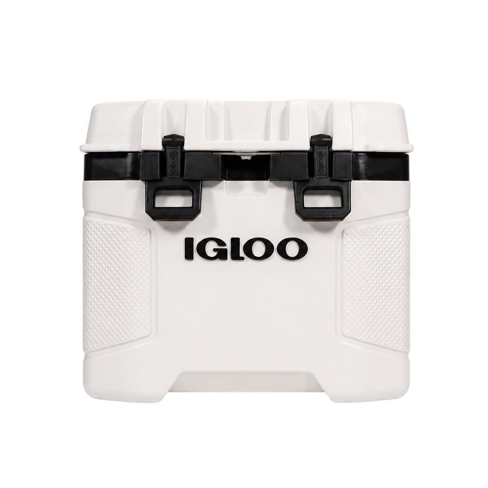 IGLOO picture