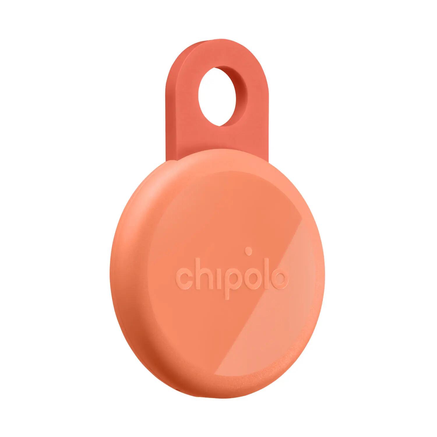 CHIPOLO picture