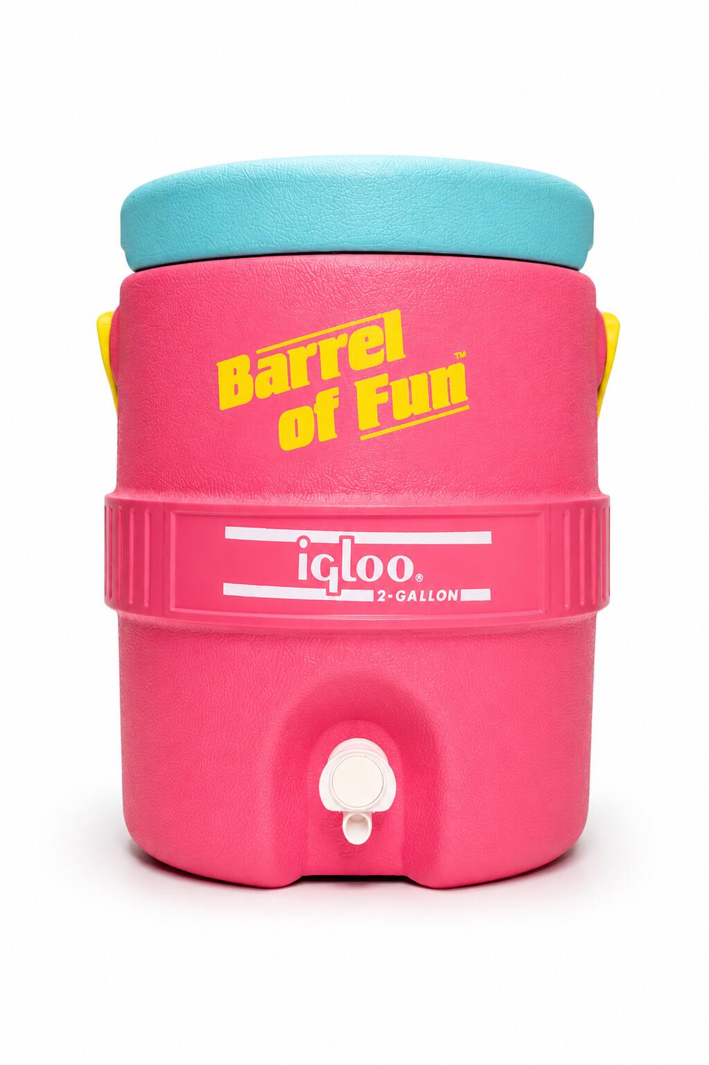 IGLOO picture