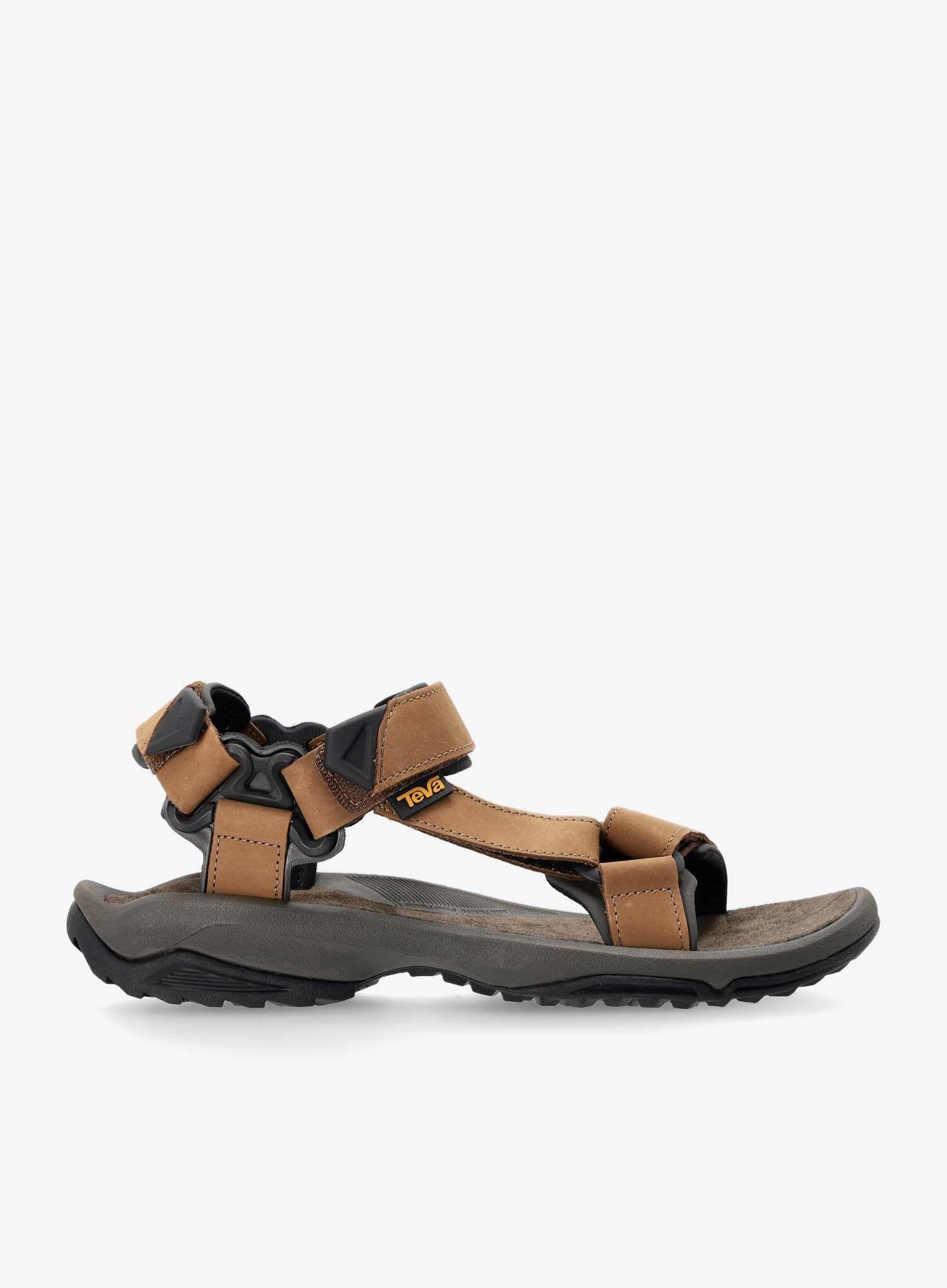 TEVA picture