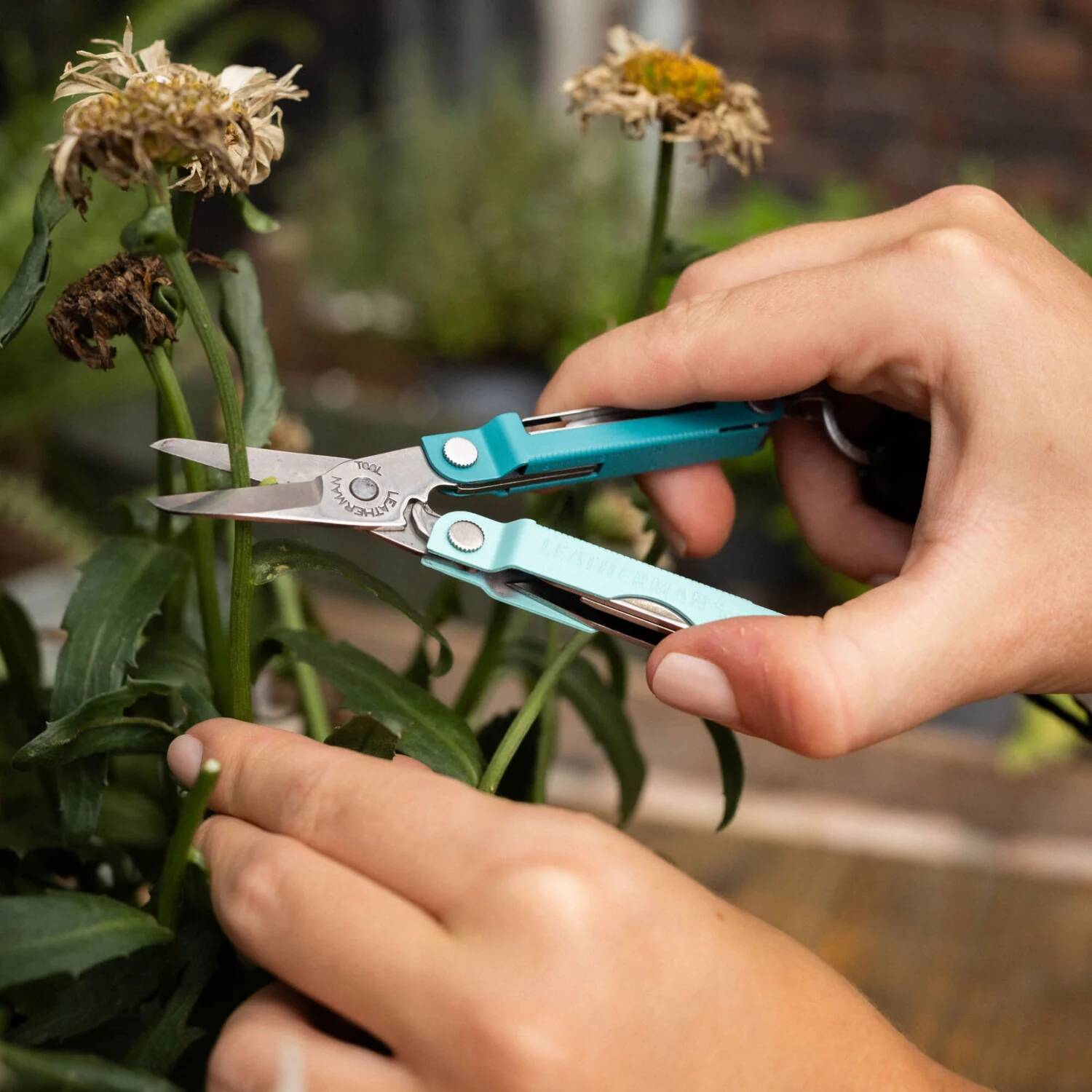 Leatherman Multipurpose Knife Micra SL Box -  4