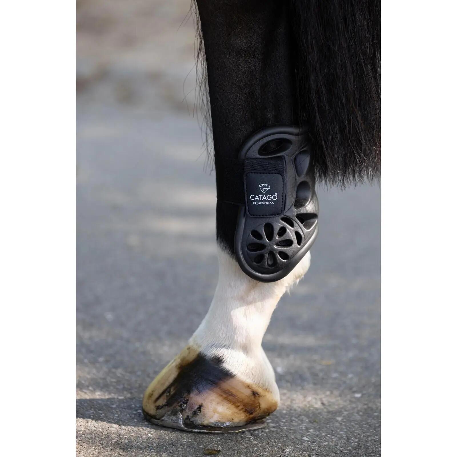 Protector de tendones para caballos Catago Eva 3/3