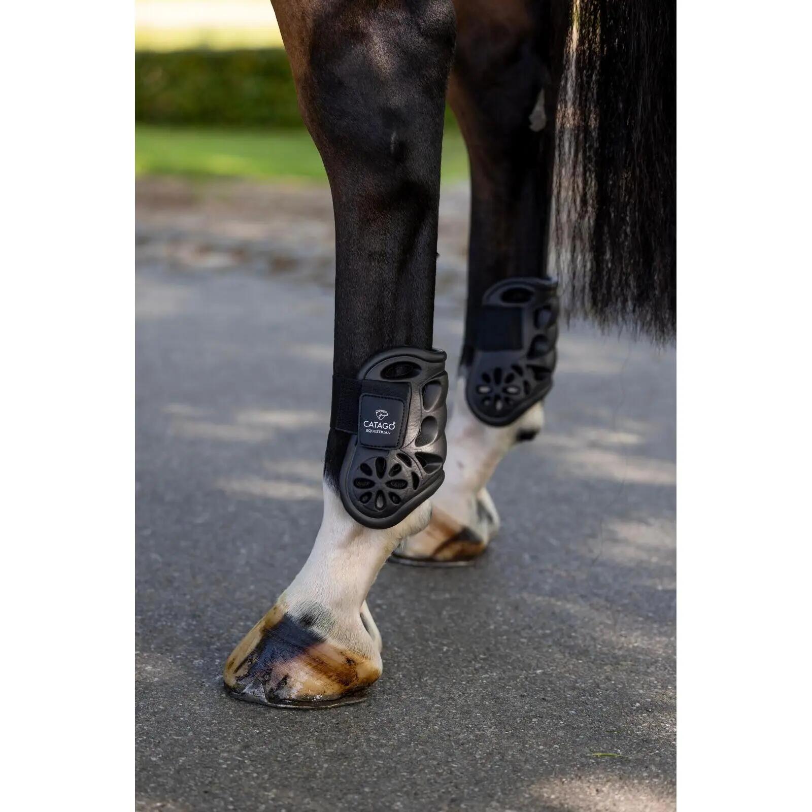 Protector de tendones para caballos Catago Eva 2/3