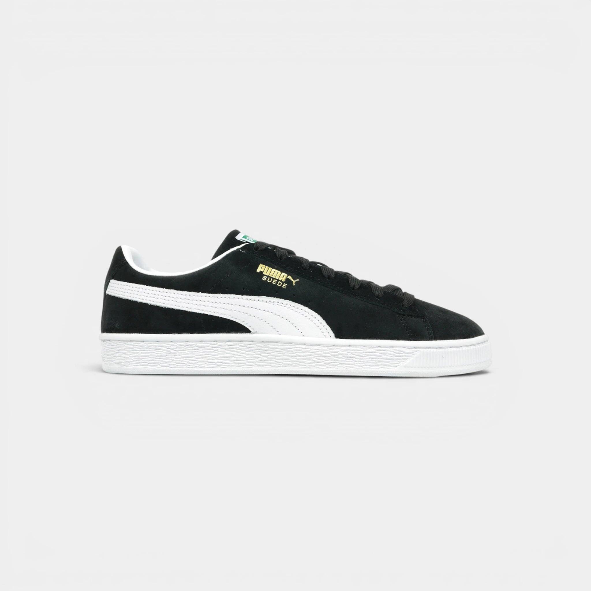 PUMA picture