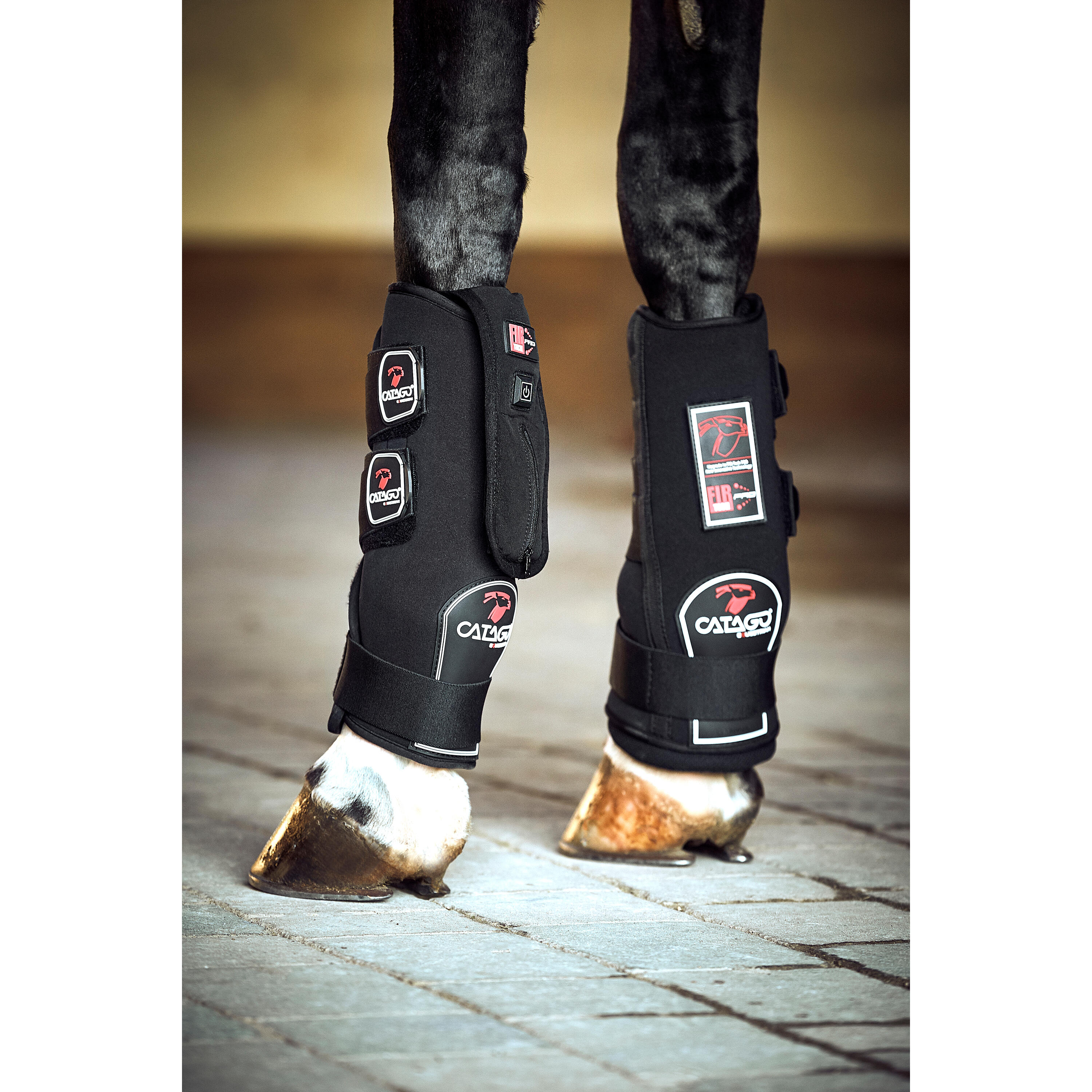 Protector de tendones para caballos Catago Fir-Tech Pro 5/5