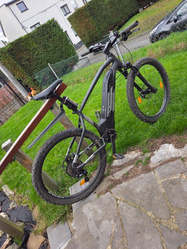 ROCKRIDER picture
