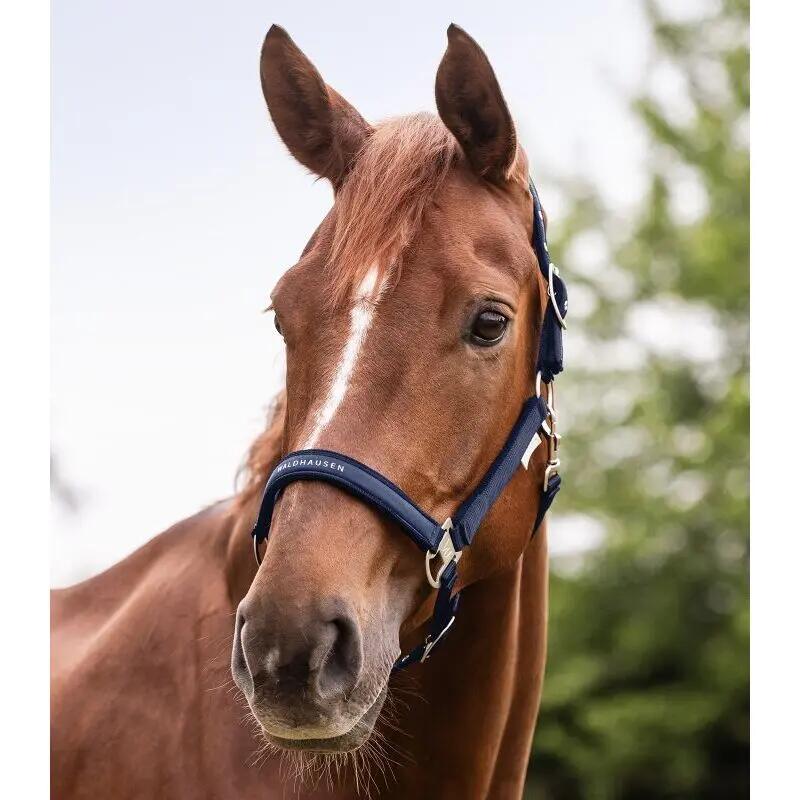 Cabestro para caballos Waldhausen Atheltic 3/3