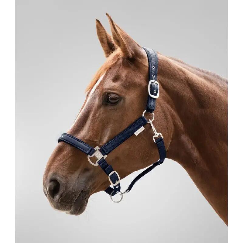 Cabestro para caballos Waldhausen Atheltic 2/3