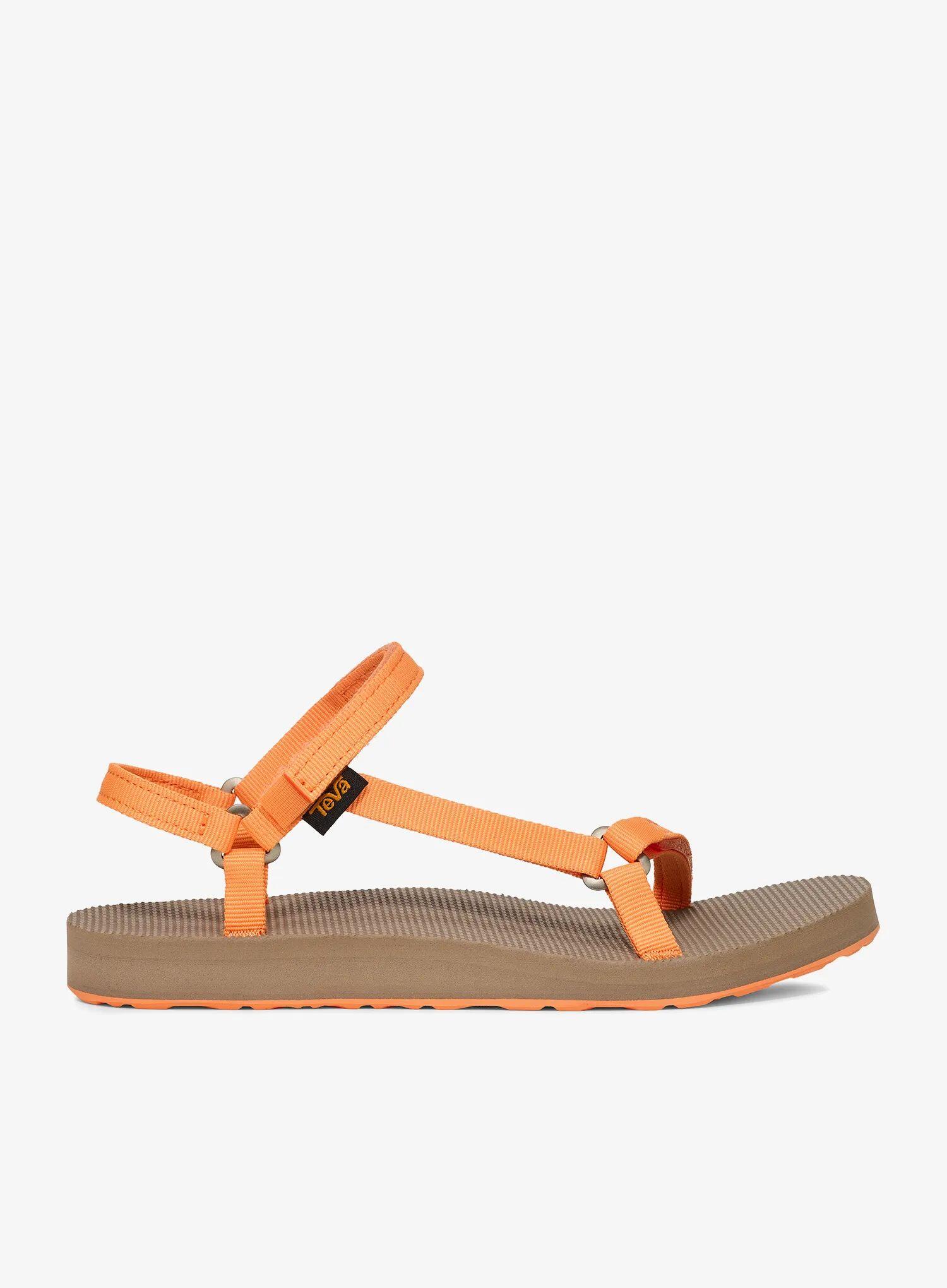 TEVA picture